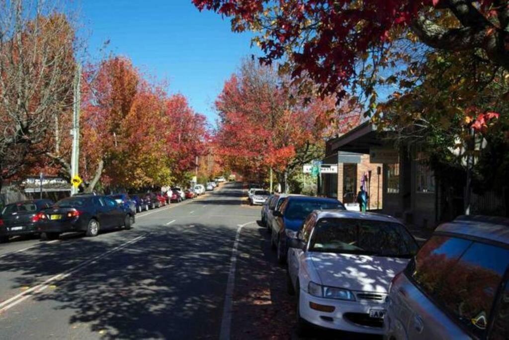 Nuach Cottage - Beautiful Family Home In Leura Bagian luar foto