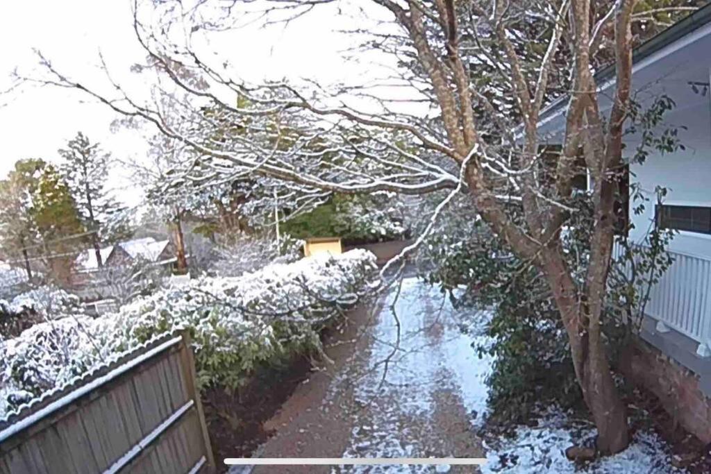 Nuach Cottage - Beautiful Family Home In Leura Bagian luar foto